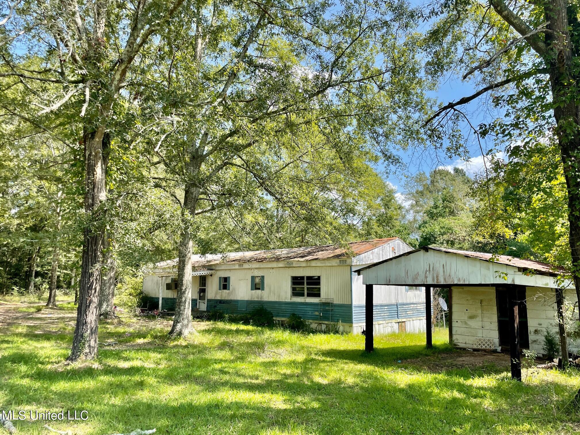 283 Craig Road Lena, MS 39094 - Photo 37 of 40 IMG_2417