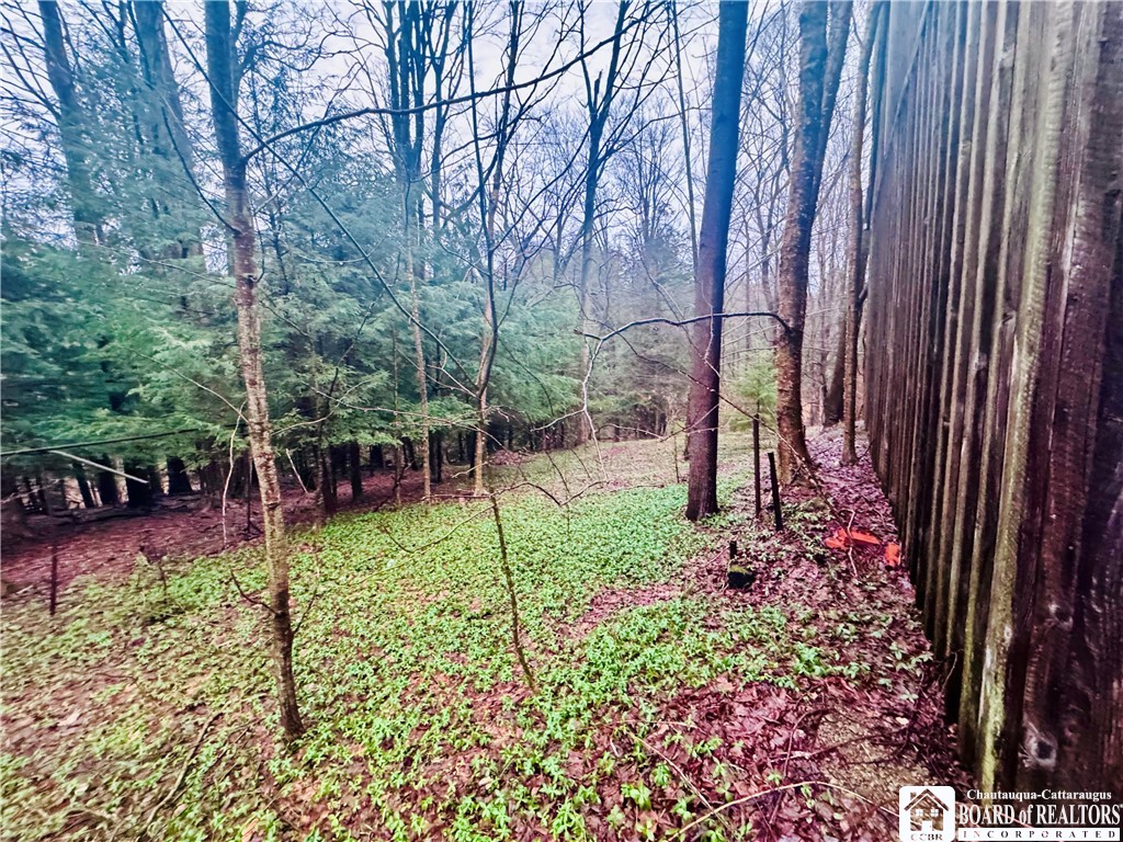 9492 Sprague Road Ripley, NY 14775 - Photo 11 of 11