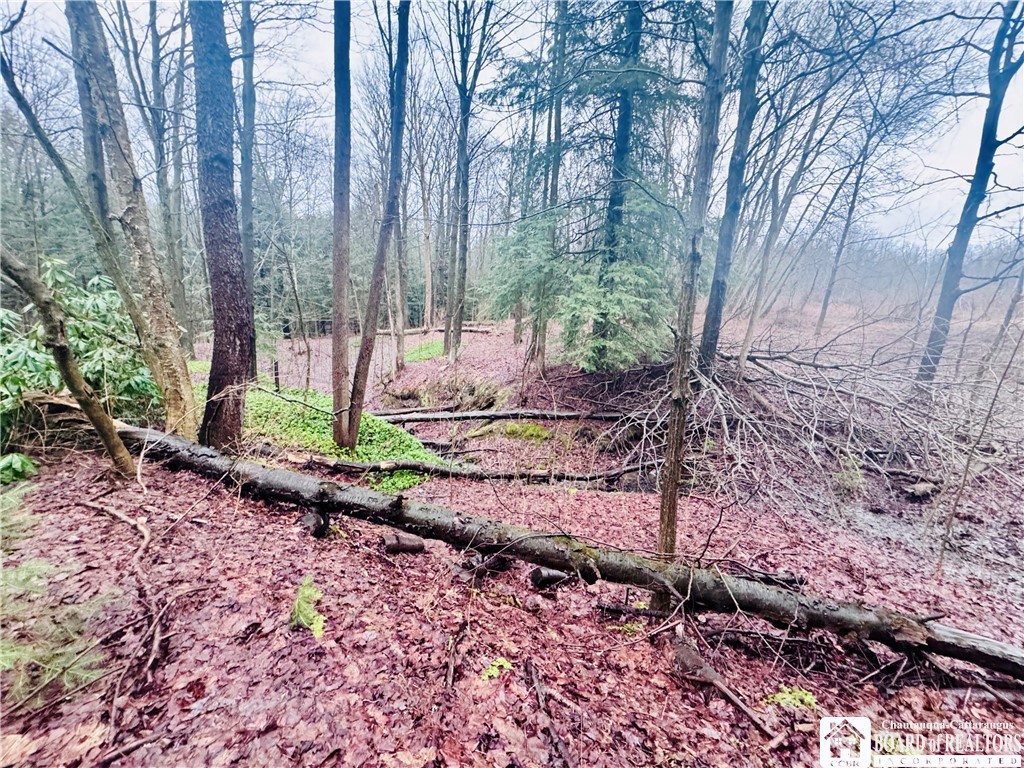 9492 Sprague Road Ripley, NY 14775 - Photo 4 of 11