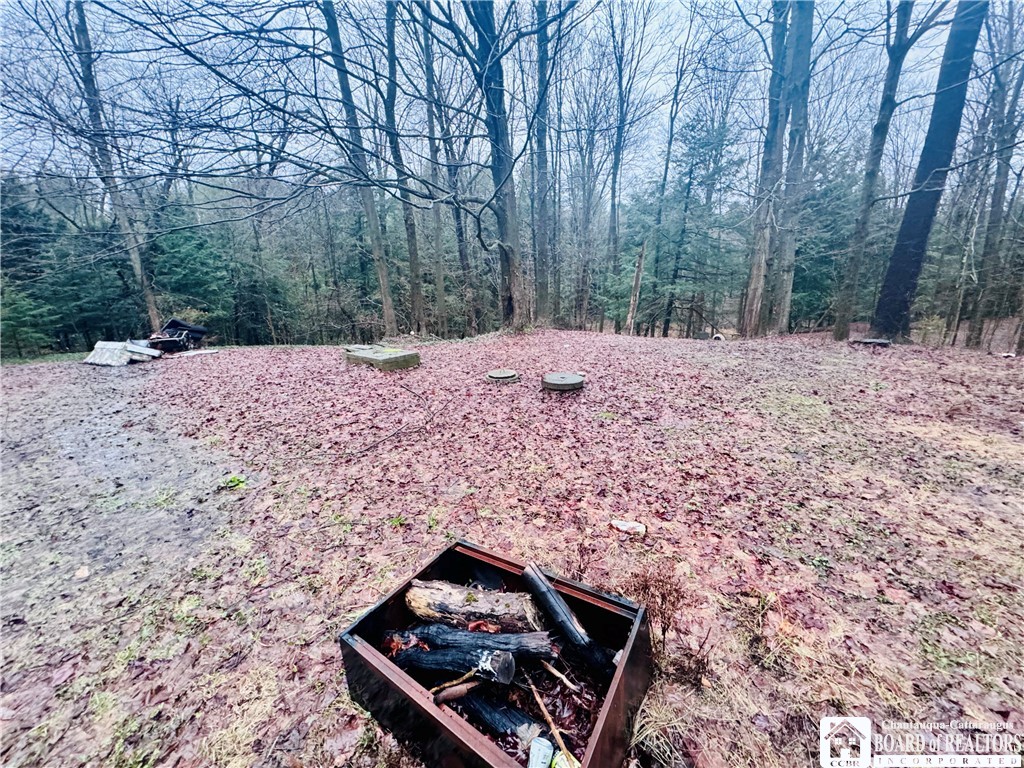 9492 Sprague Road Ripley, NY 14775 - Photo 6 of 11