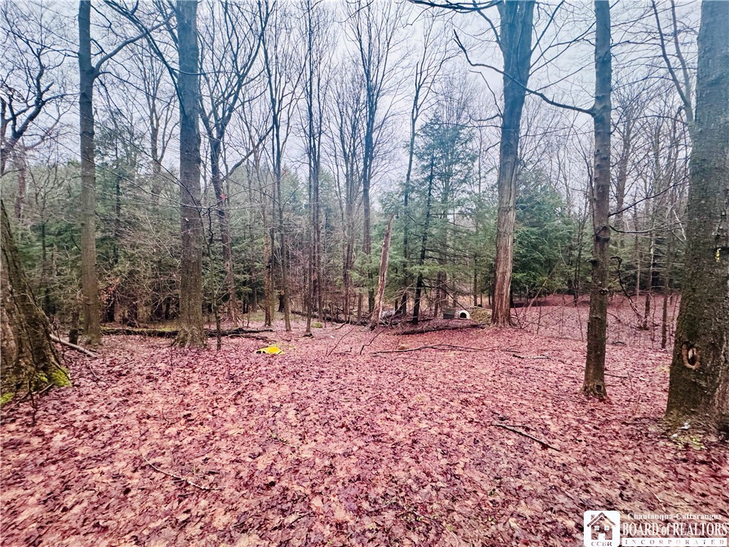 9492 Sprague Road Ripley, NY 14775 - Photo 7 of 11