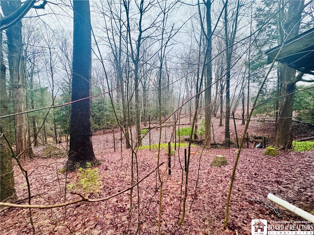 9492 Sprague Road Ripley, NY 14775 - Photo 9 of 11