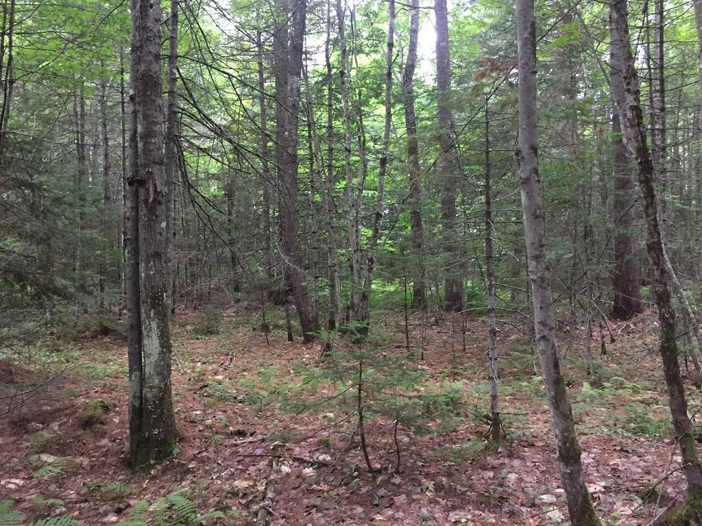 101 New Portland Road North Anson, ME 04958 - Photo 28 of 33 Photo