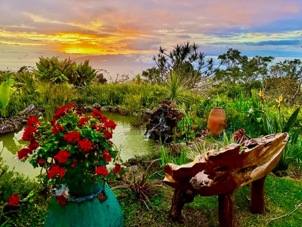 a view of a backyard with plants and lake view