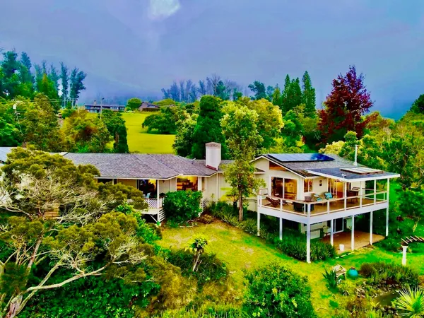 a view of a house with a yard and potted plants