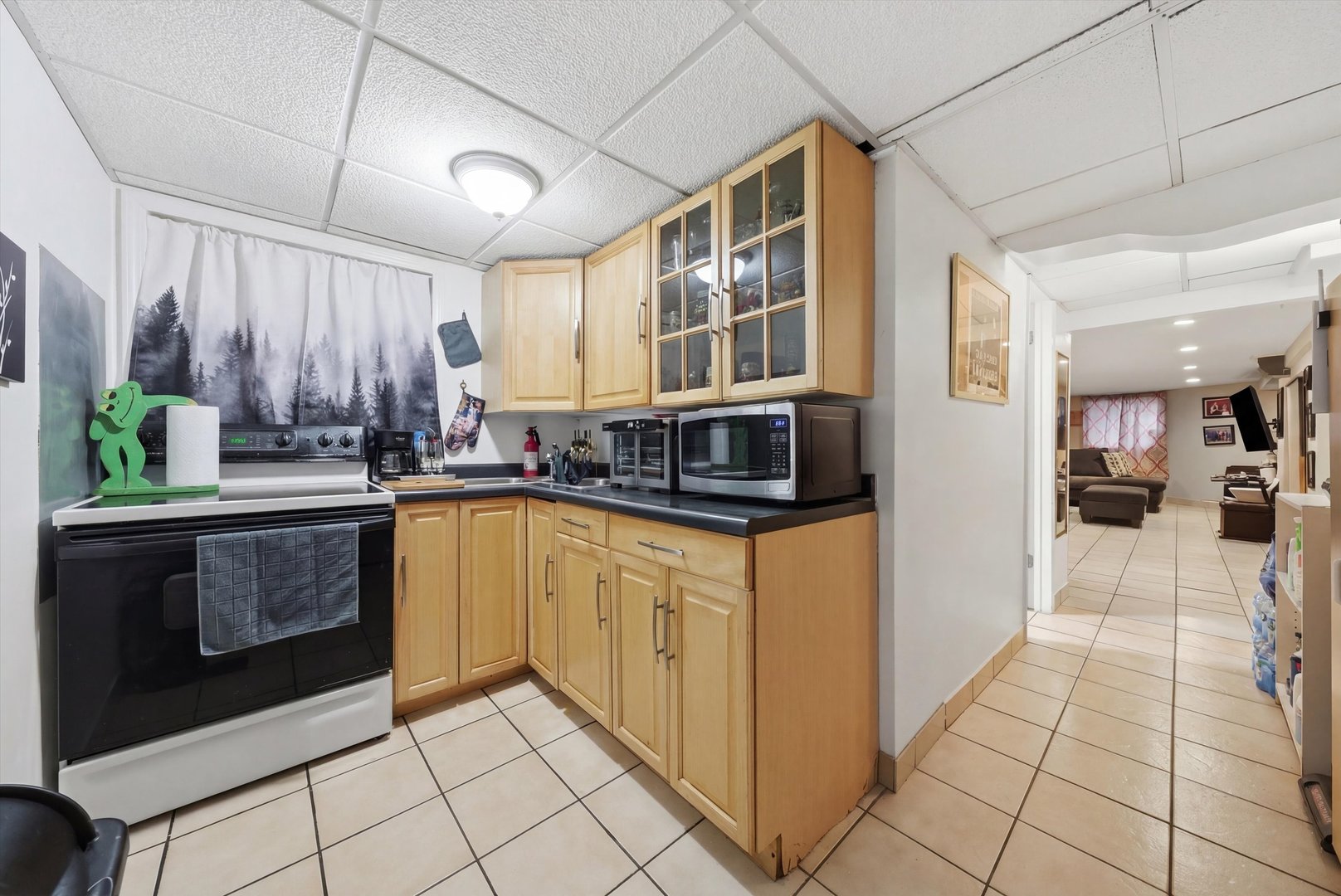 3975 West Barry Avenue Chicago, IL 60618 - Photo 38 of 52
