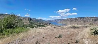 a view of a bunch of trees in the background