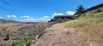 a view of a yard with a house in it