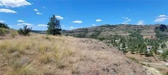 a view of a pathway both side of grassy field with trees