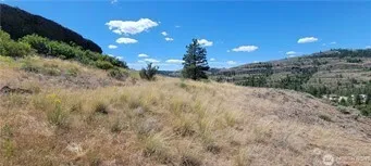 a view of a big yard with lots of bushes