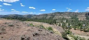 a view of a forest with mountains in the background