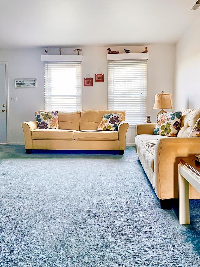 7181 Bunting Road Chincoteague Island, VA 23336 - Photo 26 of 72