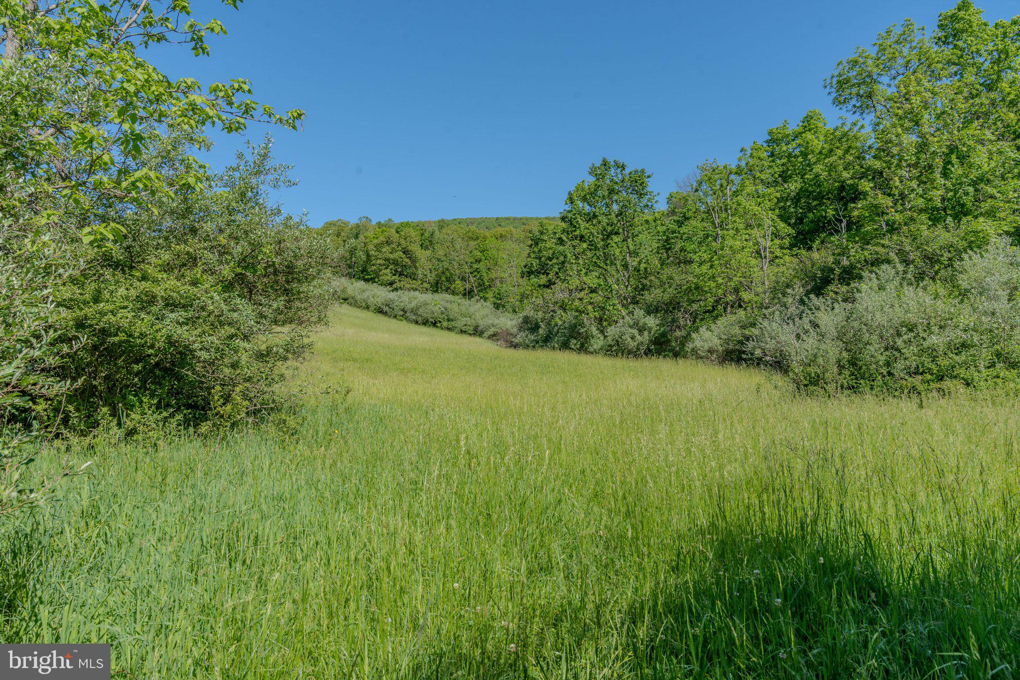 4503 Scotch Valley Road Hollidaysburg, PA 16648 - Photo 37 of 85 a view of a lush green space