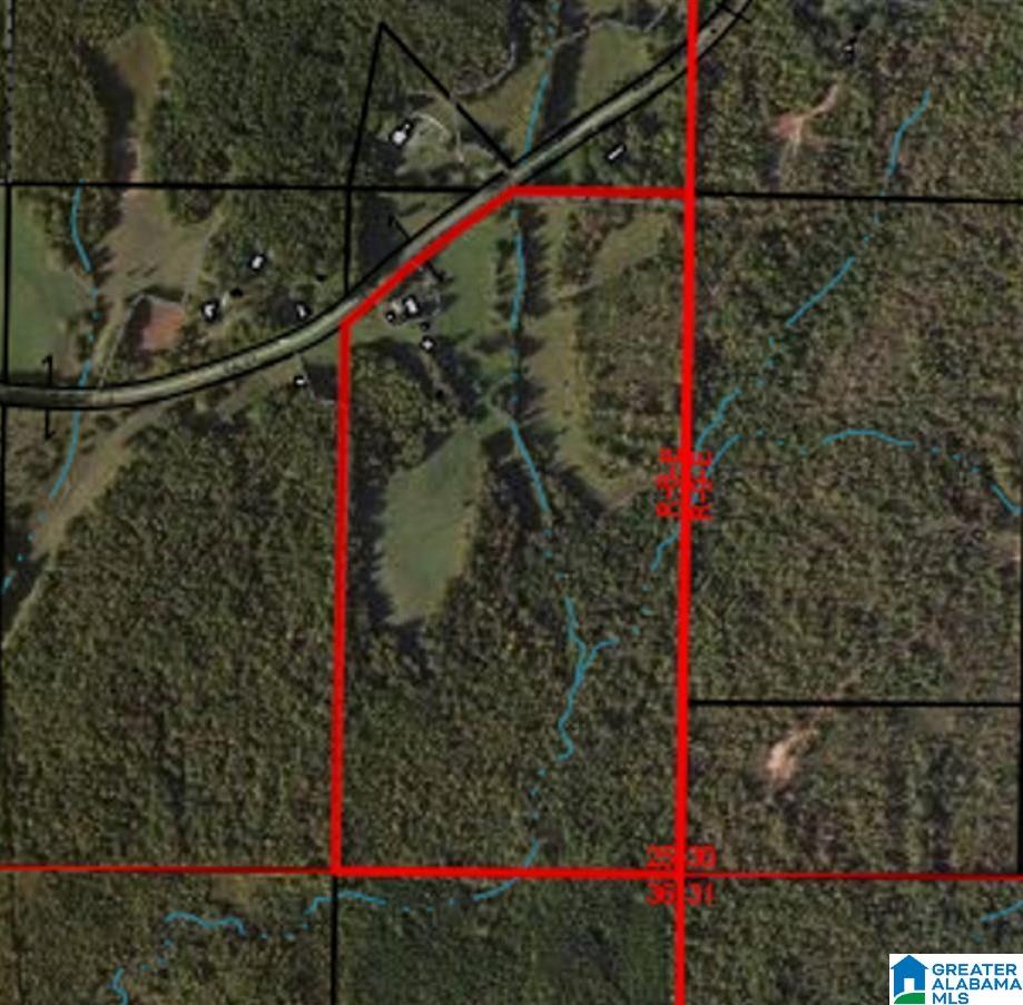 853 Bailey Road Cragford, AL 36255 - Photo 23 of 39