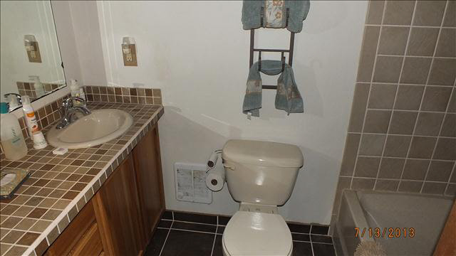 3435 Jackman Road Petersburg, MI 49270 - Photo 14 of 14 20363736-13.JPG