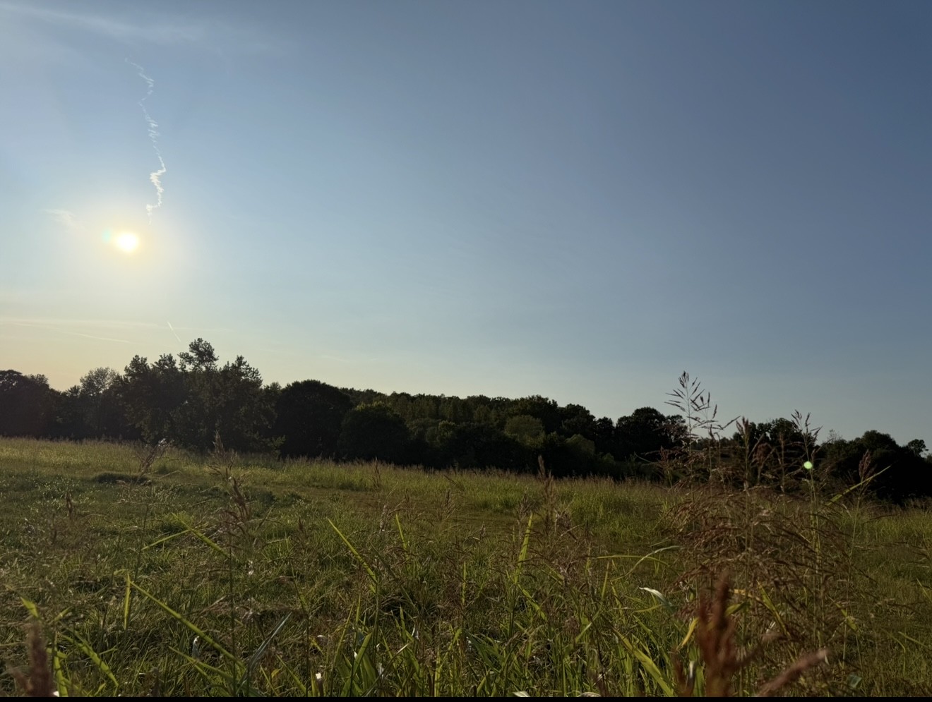 0 Dady Road McEwen, TN 37101 - Photo 2 of 4