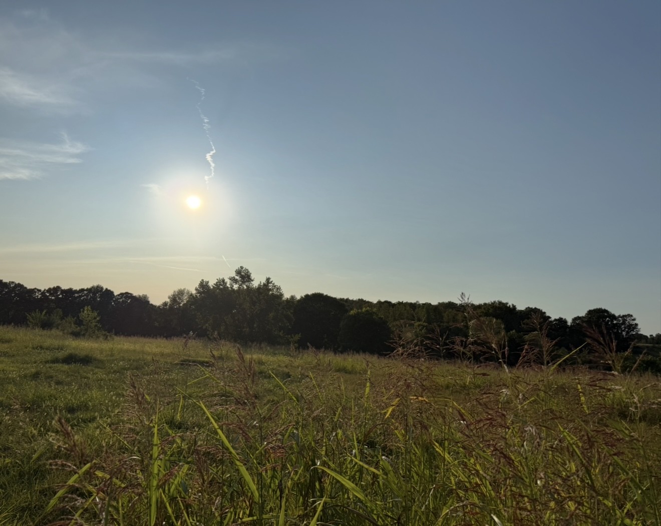 0 Dady Road McEwen, TN 37101 - Photo 3 of 4 a view of lake and mountain