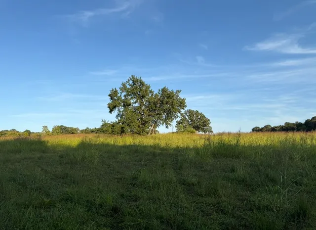 $95,000 | 0 Dady Road, McEwen, TN 37101