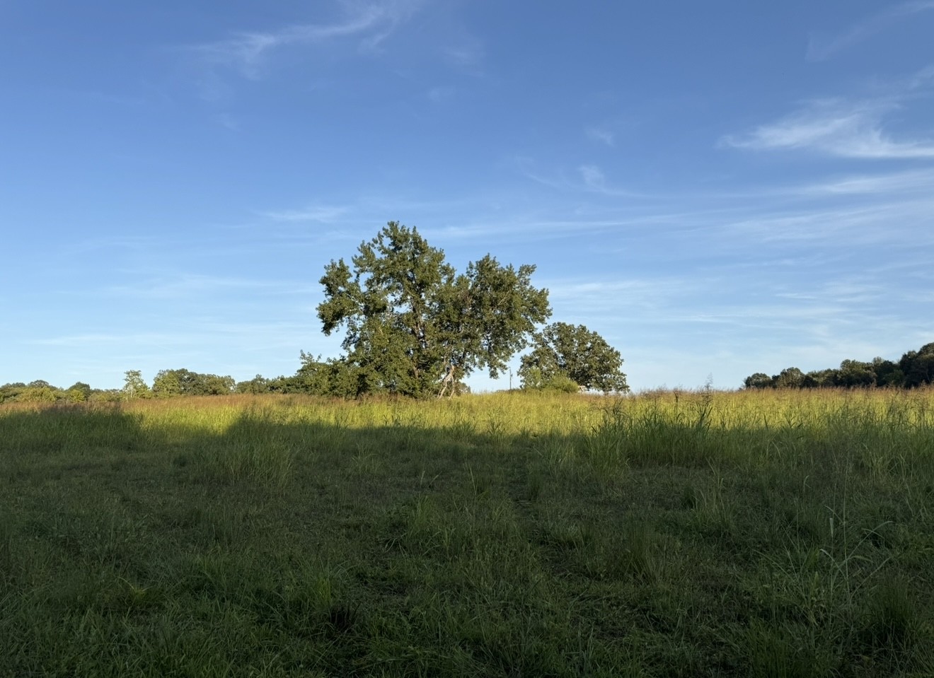 0 Dady Road McEwen, TN 37101 - Photo 4 of 4 a view of a lake with a yard