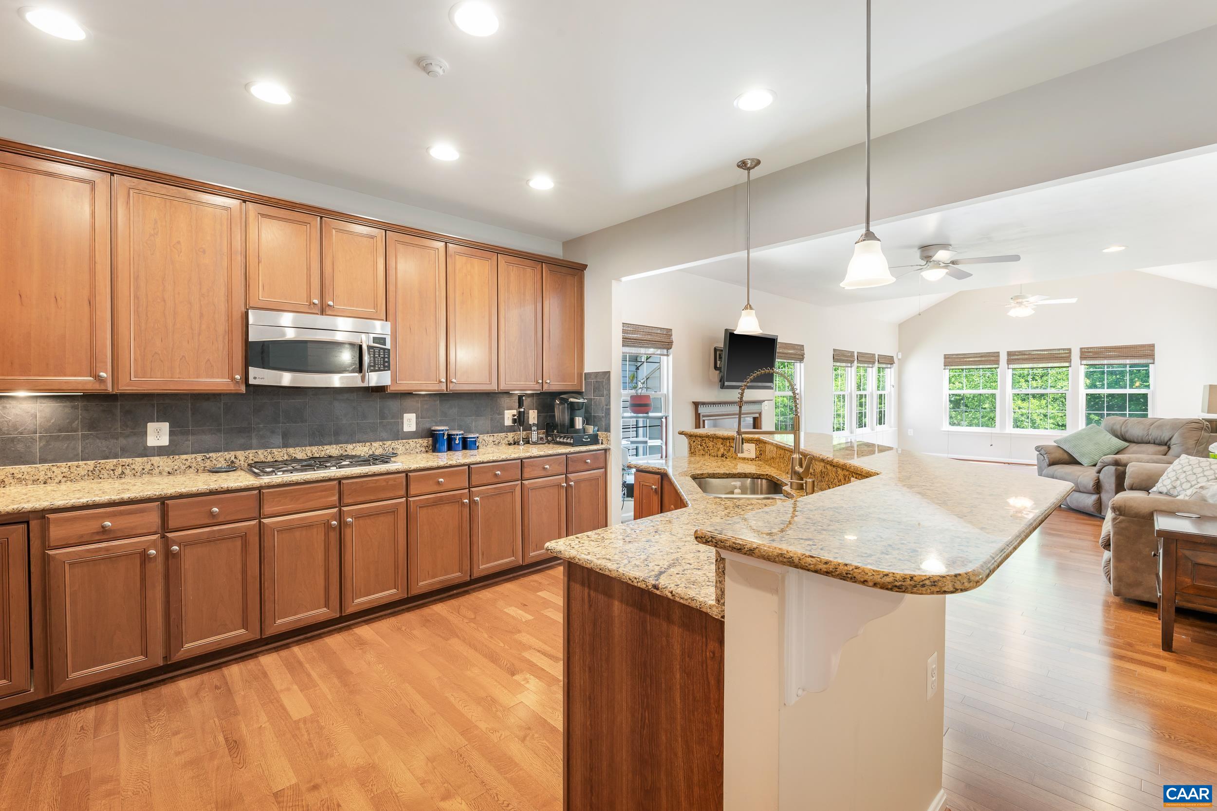 329 John Rucker Drive Ruckersville, VA 22968 - Photo 17 of 75