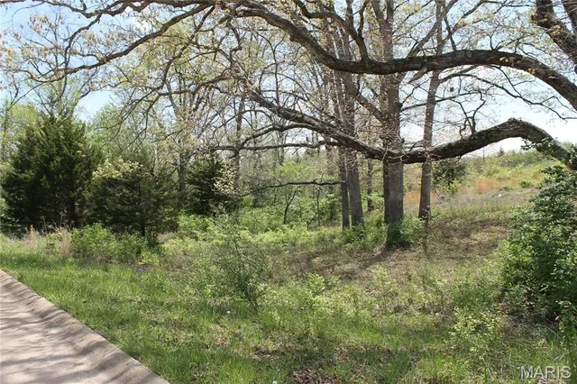 $24,850 | 0 Oak Ridge Drive, St. Clair, MO 63077