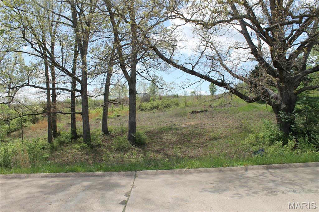 0 Oak Ridge Drive St. Clair, MO 63077 - Photo 9 of 10