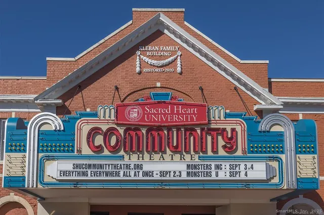 a view of a dry yard