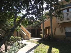 $1,600 | 4879 Via Palm Lakes, Unit 619, West Palm Beach, FL 33417