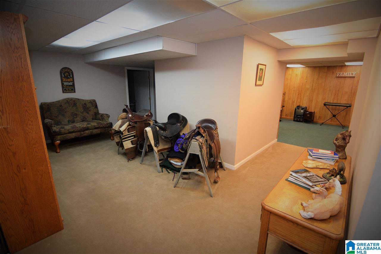 119 Sargent Road Pell City, AL 35125 - Photo 21 of 49 Gallery Image 21