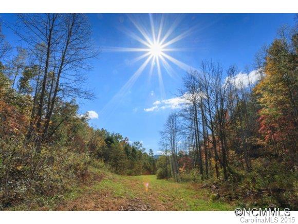 188 Jordan Branch Road Mars Hill, NC 28754 - Photo 1 of 8 Gallery Image 1