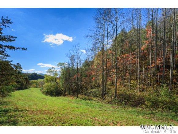 188 Jordan Branch Road Mars Hill, NC 28754 - Photo 5 of 8 Gallery Image 5