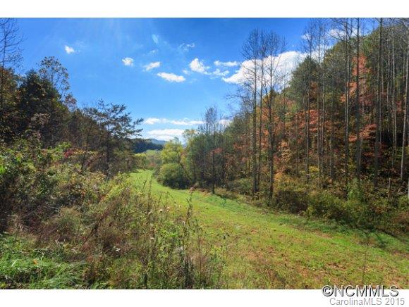 188 Jordan Branch Road Mars Hill, NC 28754 - Photo 7 of 8 Gallery Image 7