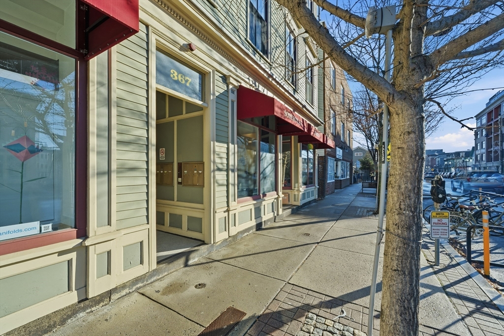 367 Somerville Avenue, Unit G Somerville, MA 02143 - Photo 29 of 39 a view of a potted plants from a building