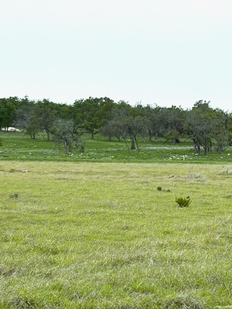 Lot 10 South Ranch Road 783 Harper, TX 78631 - Photo 3 of 4