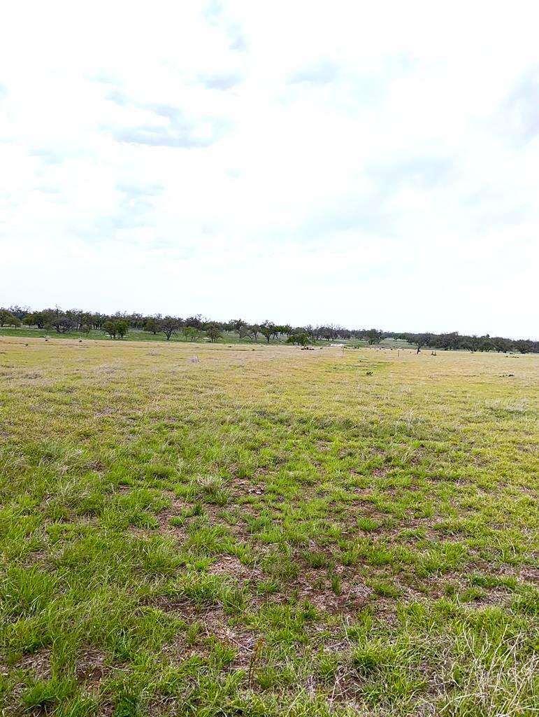Lot 10 South Ranch Road 783 Harper, TX 78631 - Photo 4 of 4