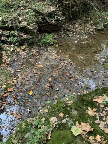 $10,000 | 1 Private Drive 3394 Drive, Savannah, MO 64485