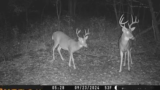 $10,000 | 1 Private Drive 3394 Drive, Savannah, MO 64485