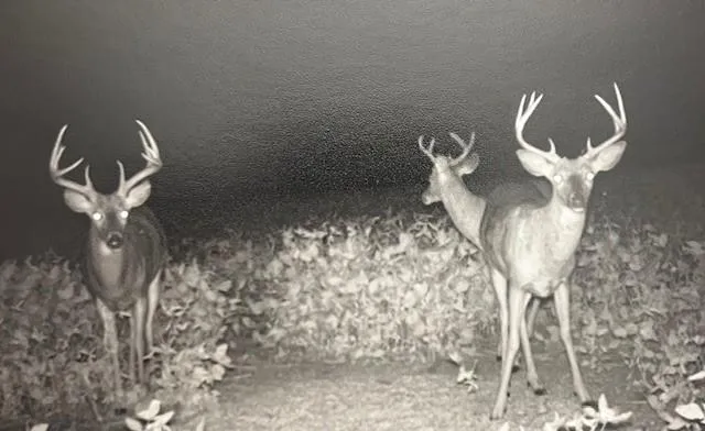 $10,000 | 1 Private Drive 3394 Drive, Savannah, MO 64485