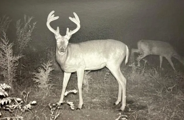 $10,000 | 1 Private Drive 3394 Drive, Savannah, MO 64485