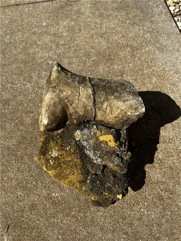 $10,000 | 1 Private Drive 3394 Drive, Savannah, MO 64485