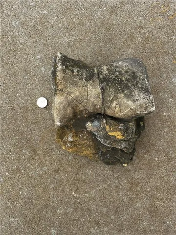 $10,000 | 1 Private Drive 3394 Drive, Savannah, MO 64485