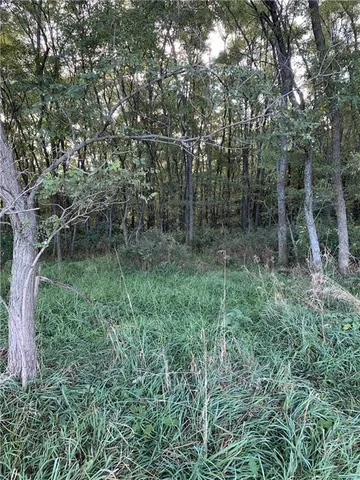 $10,000 | 1 Private Drive 3394 Drive, Savannah, MO 64485