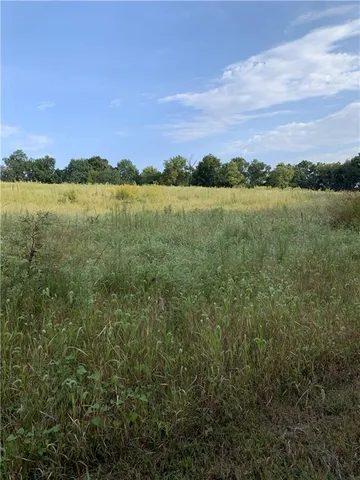 $10,000 | 1 Private Drive 3394 Drive, Savannah, MO 64485