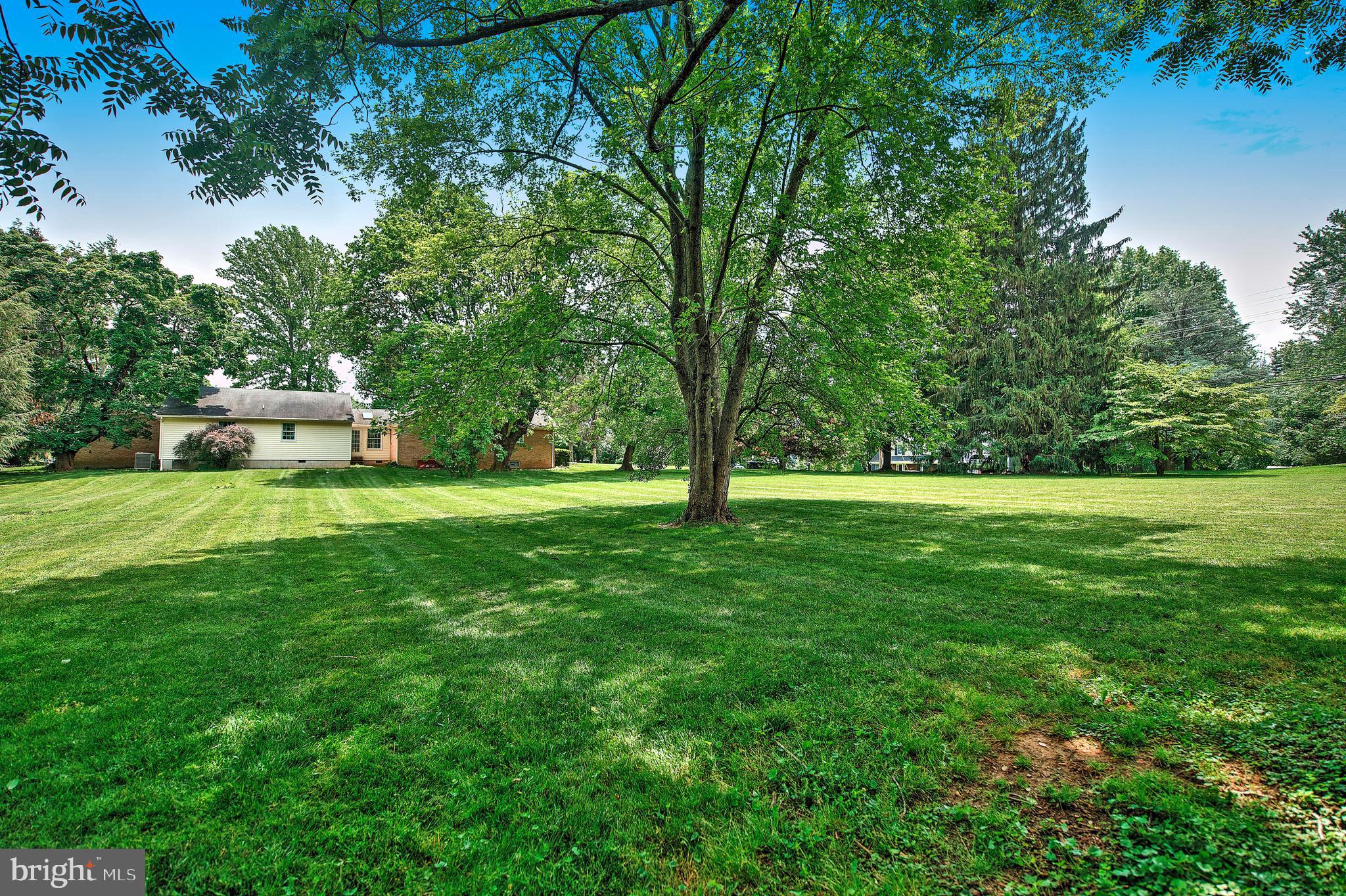 1303 Old Fallston Road Fallston, MD 21047 - Photo 65 of 65 a view of a trees with a big yard