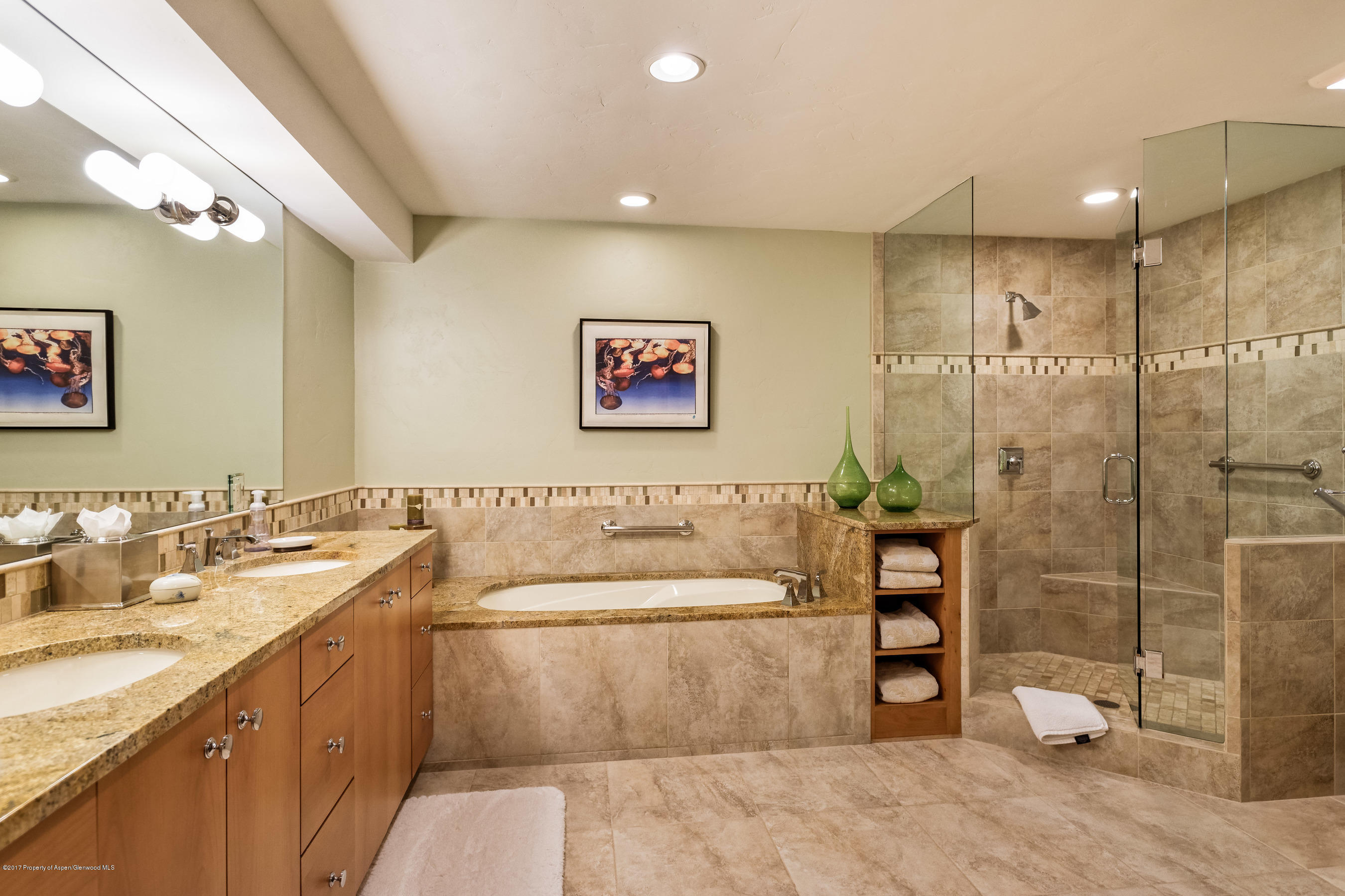 381 Meadow Ranch Road Snowmass Village, CO 81615 - Photo 14 of 26 381FawnCt_CREST015