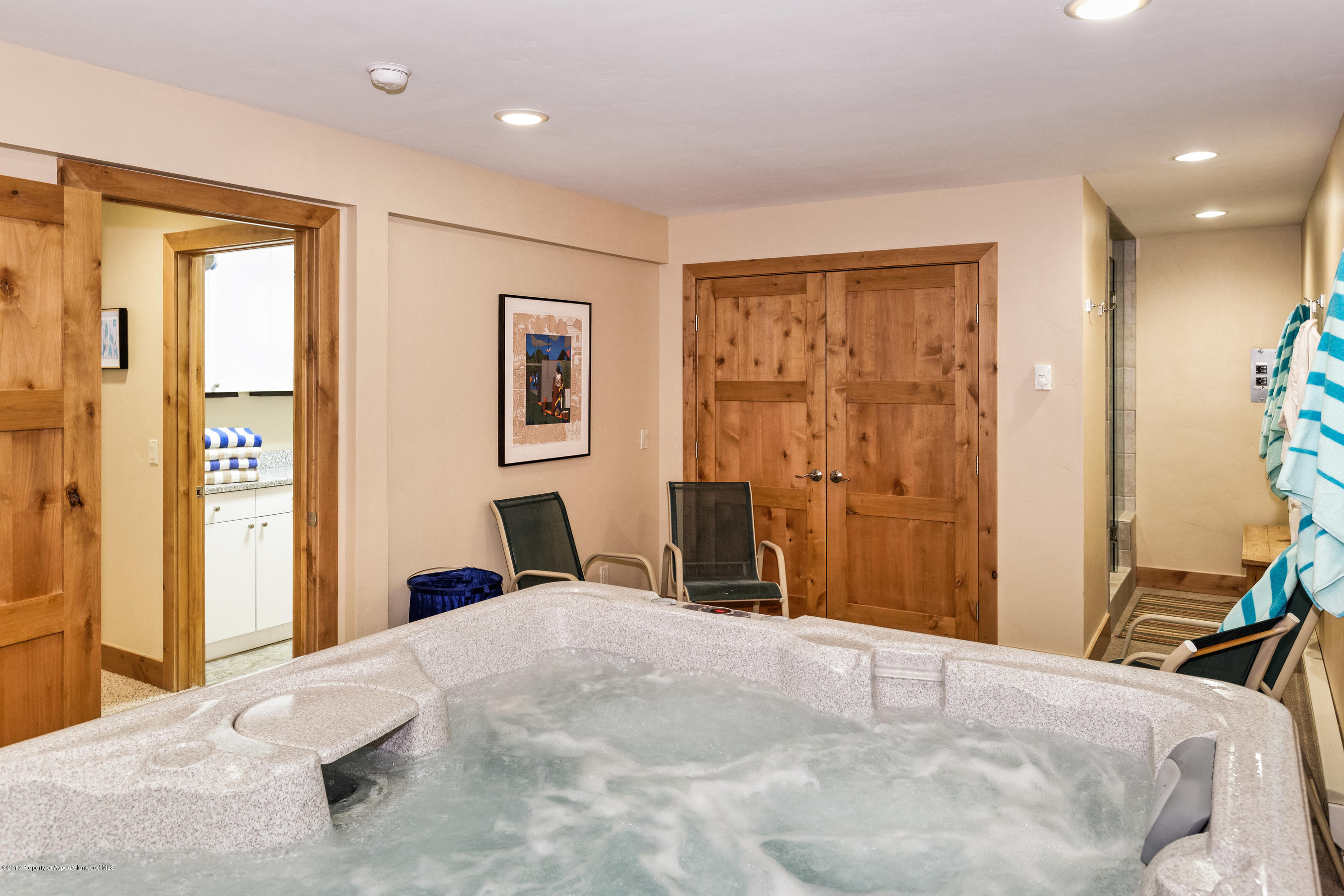 381 Meadow Ranch Road Snowmass Village, CO 81615 - Photo 18 of 26 381FawnCt_CREST014