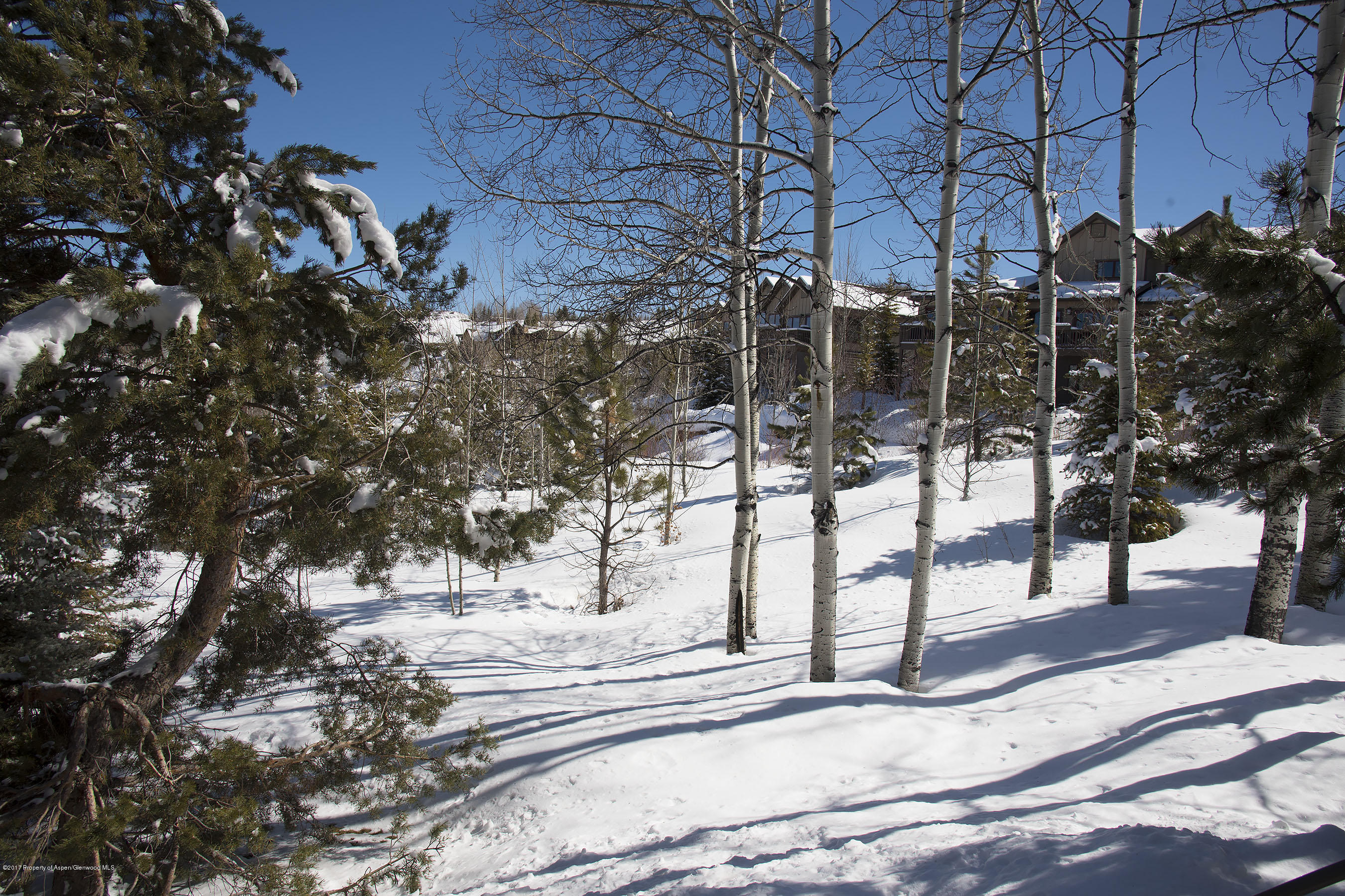 381 Meadow Ranch Road Snowmass Village, CO 81615 - Photo 26 of 26 381FawnCt_CREST055