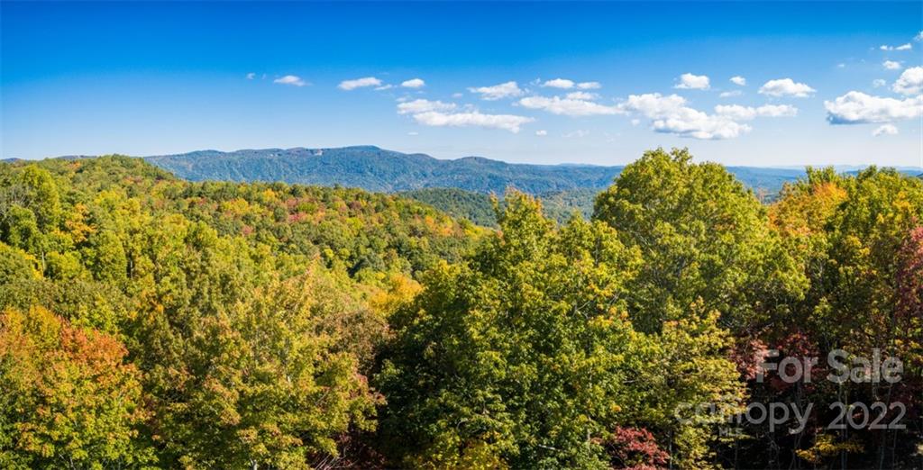2401 Little Laurel Road Boone, NC 28607 - Photo 45 of 47 Gallery Image 45