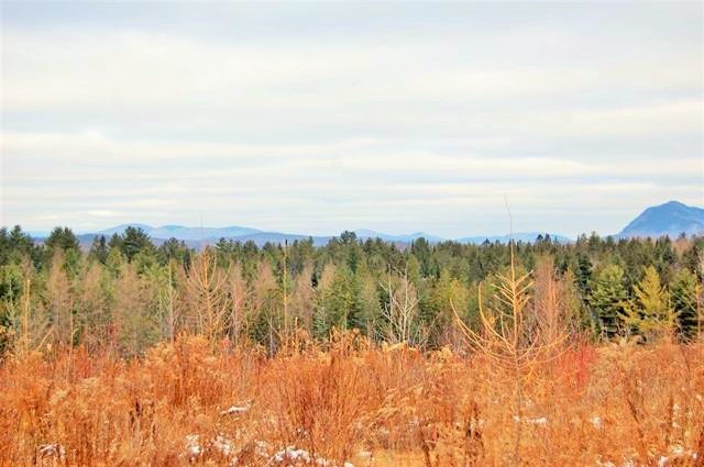 1 Ruby Ridge Road Lancaster, NH 03584 - Photo 1 of 3