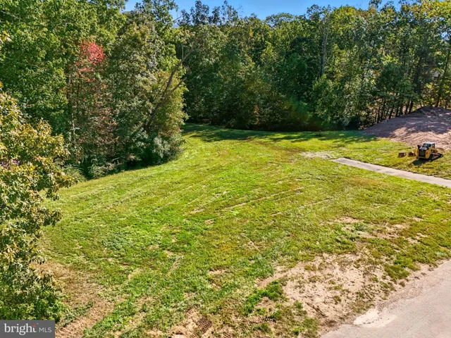 a view of a yard with a large tree